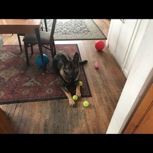 Meet your Posher, Zina